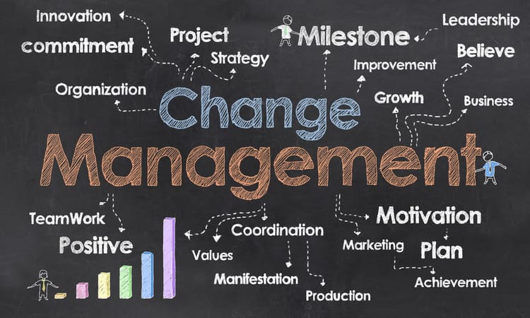 The Importance of IT Change Management in SME Digital Projects